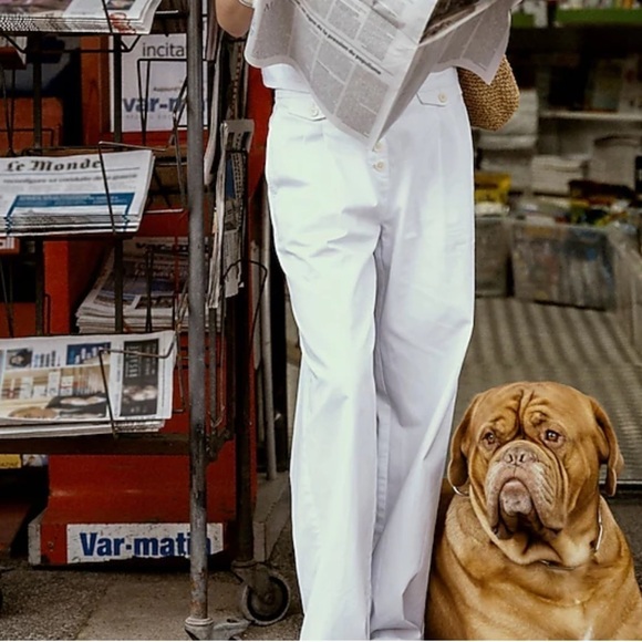 J crew Pleated button-front pant in chino - Picture 3 of 5